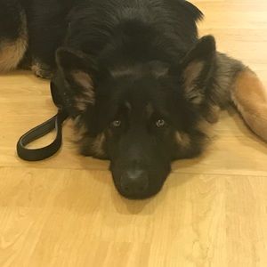 Meet your Posher, Mary